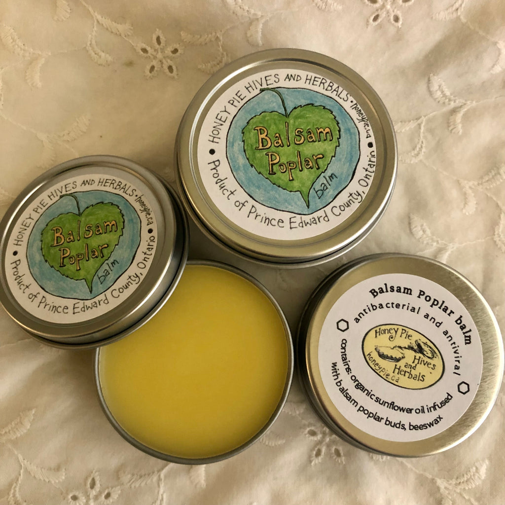 Balsam Poplar balm