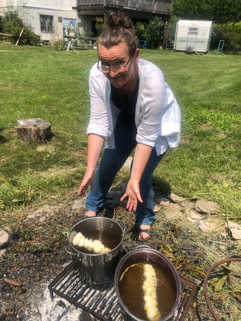 Natural Dye Through the Seasons 2026 full course