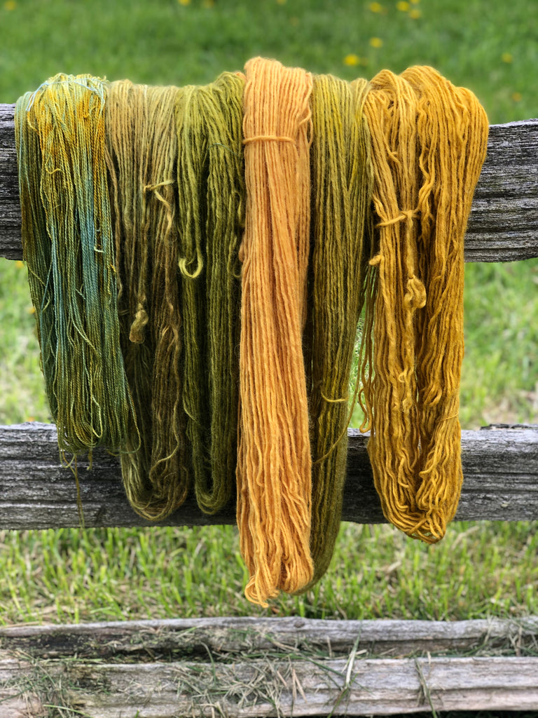 Natural Dye Through the Seasons 2026 full course