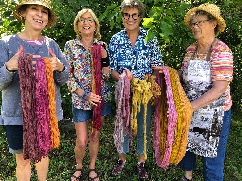 Natural Dye Through the Seasons 2026 individual class