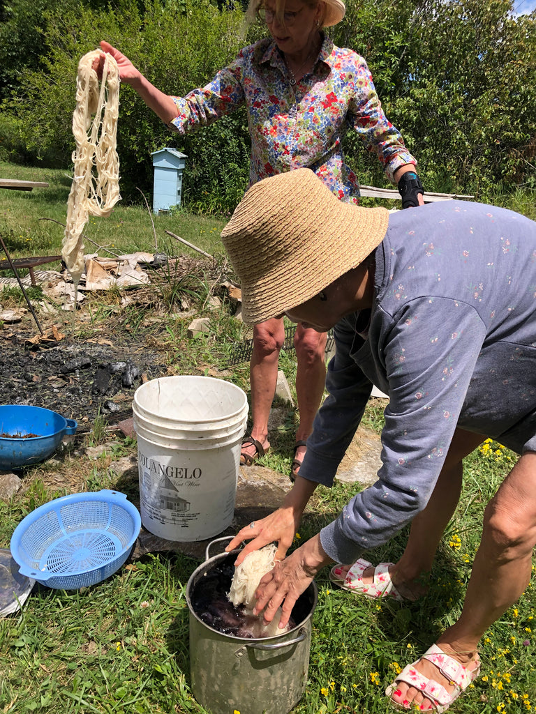 Natural Dye Through the Seasons 2026 full course
