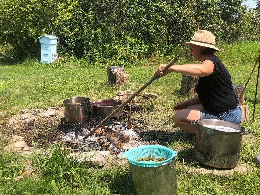 Natural Dye Through the Seasons 2026 full course