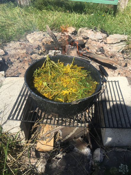 Natural Dye Through the Seasons 2026 full course