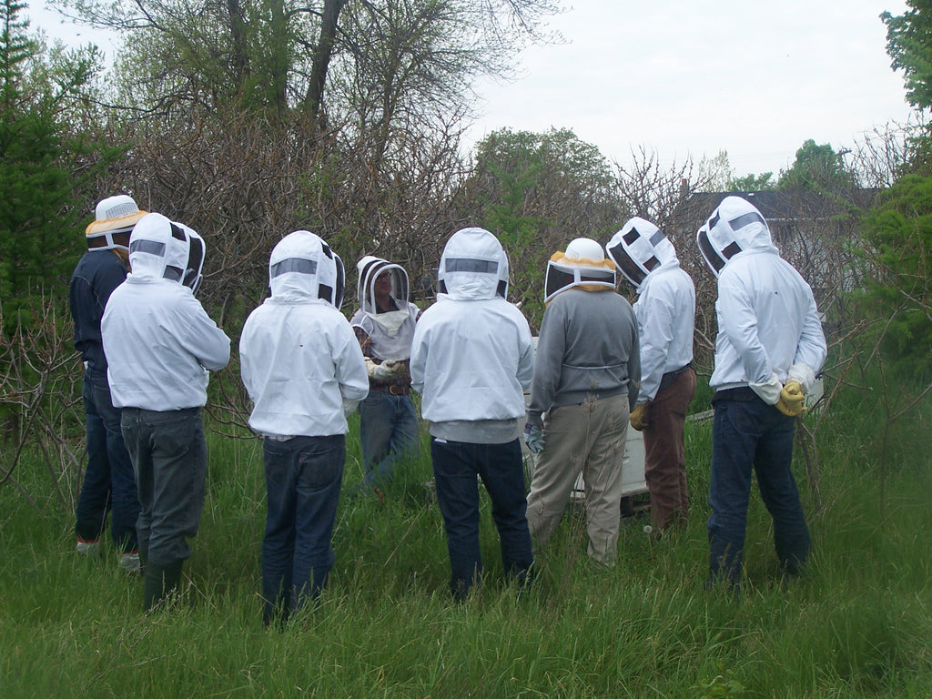 Beekeeping Workshops 2024 - full course