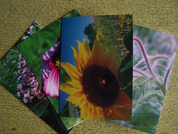 Four Flower Cards