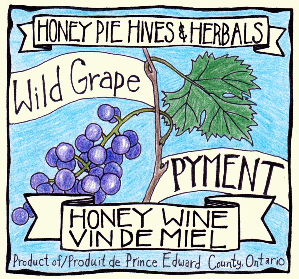 Wild Grape Pyment